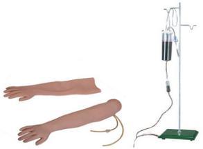 Xy-S2 Venipuncture & Intramuscular Injection Arm Model