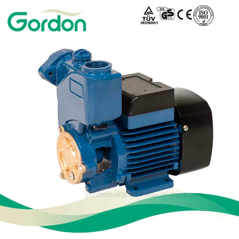 Electric Copper Wire Self-Priming Gardon Water Pump with Brass Impeller