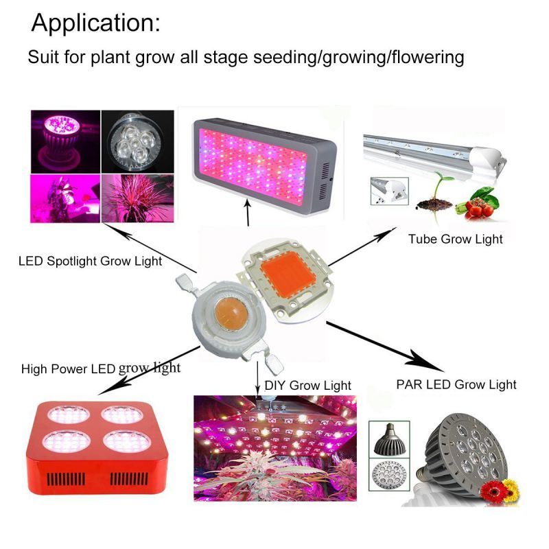 COB LED Chip 10W 20W 30W 50W 100W Warm White Cool White RGB High Power LED Chip