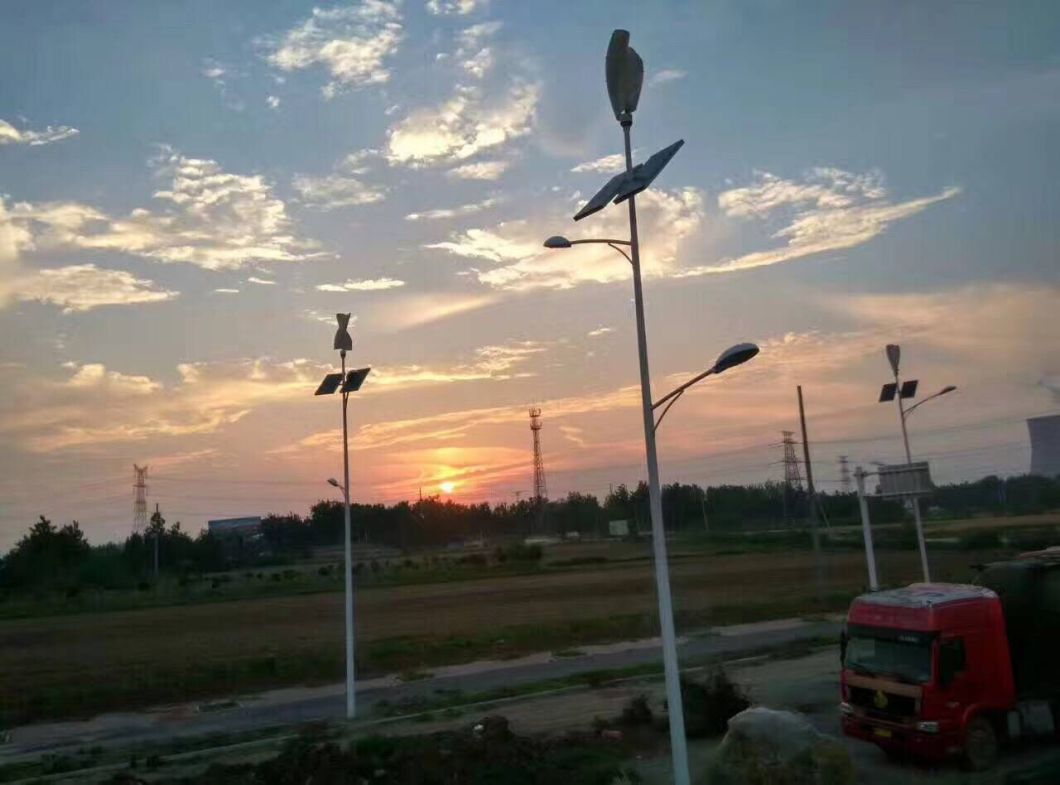 100W Wind Turbine and Solar Street Lamp with WiFi (SHJ-LDS100)