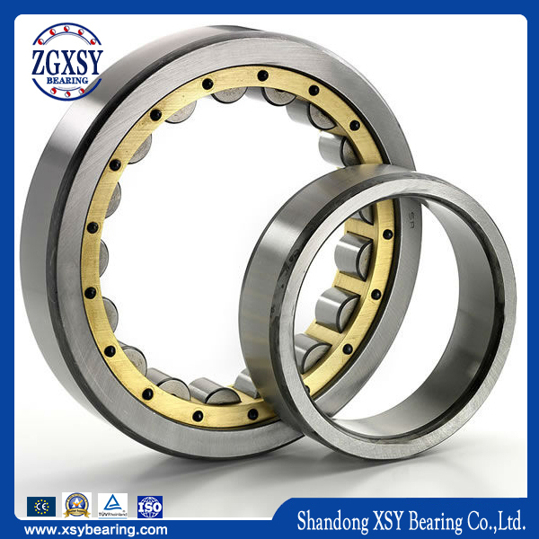 One Two Four Rows Cylindrical Roller Bearings (NU, NJ, NF, NP, NUP and N)