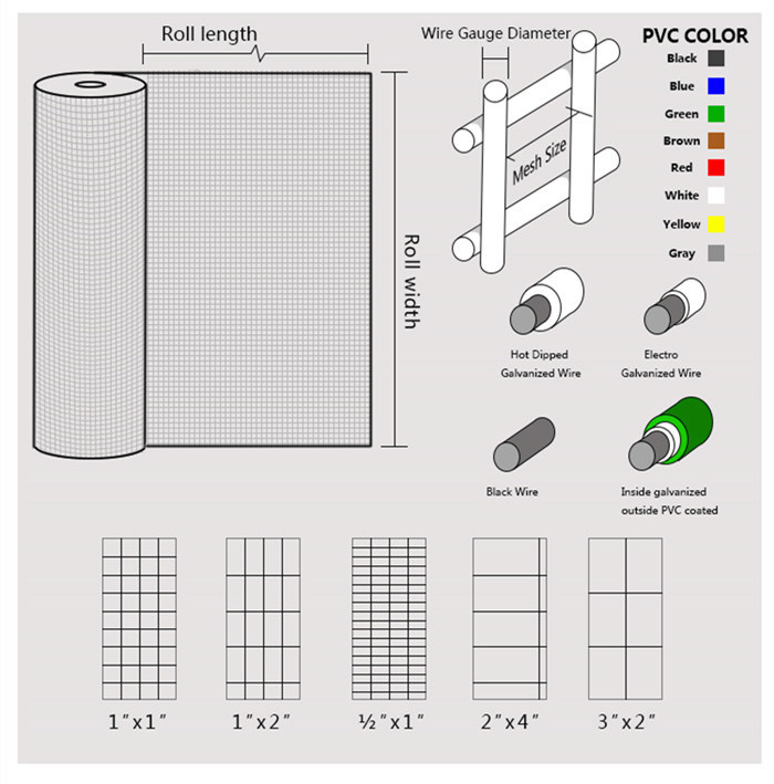 Low Carbon Steel Wire Mesh Welded Wire Mesh for Fencing/Cages