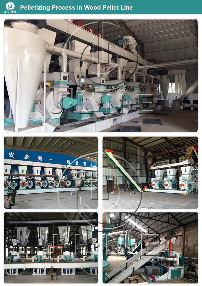 Top Manufacturer Complete Wood Pellet Production Line for Sale Price