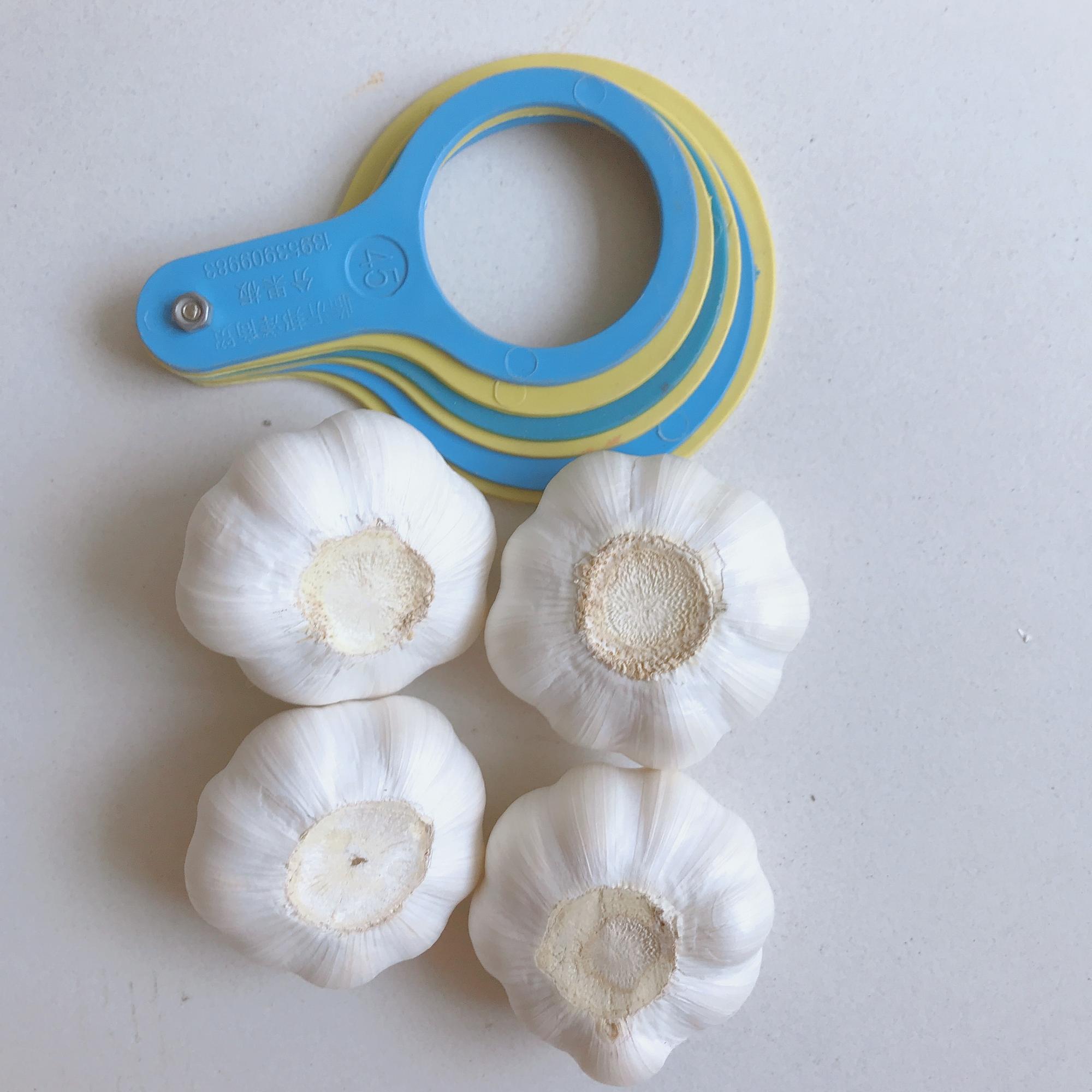 Chinese fresh elephant pure white garlic Chinese fresh elephant pure white garlic