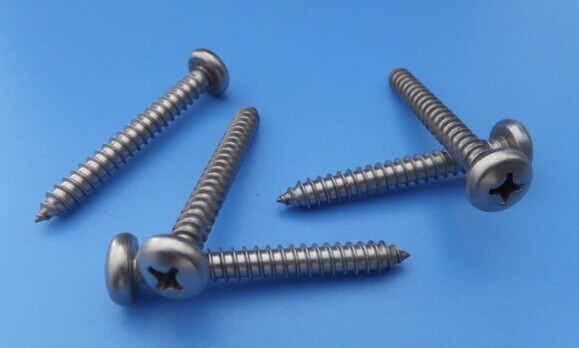 Galvanized Pan Head Self Tapping Screw with High Quality