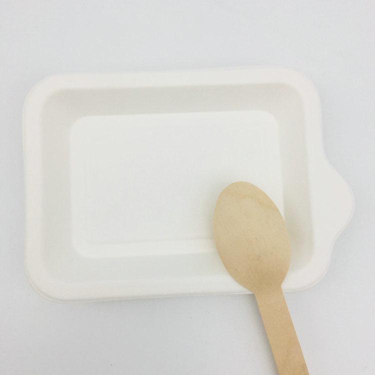 Disposable Biodegradable Bagasse Plates Dessert Tray