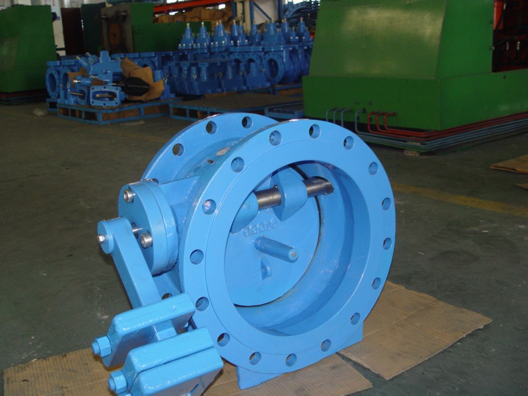 Butterfly Check Valve with Lever