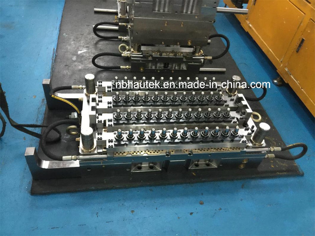 Pet Preform Injection Mold