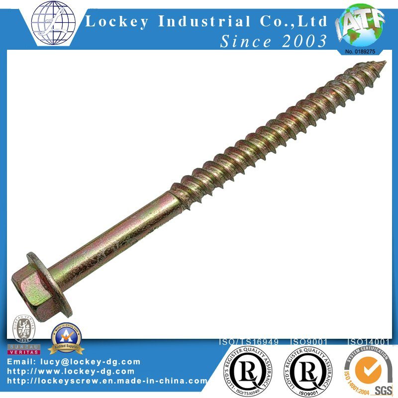 Hex Flange Head Lag Screw Wood Screw Coach Screw