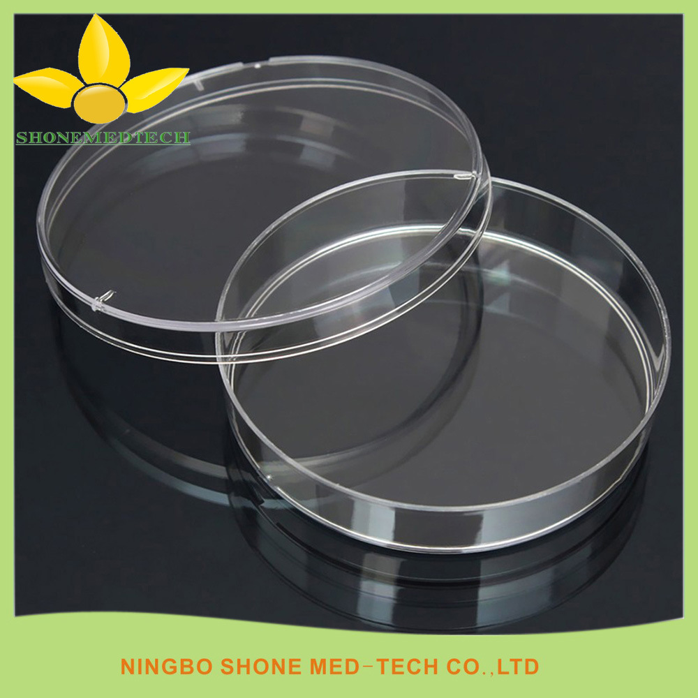 Clear Round Base Petri Dish with Lid