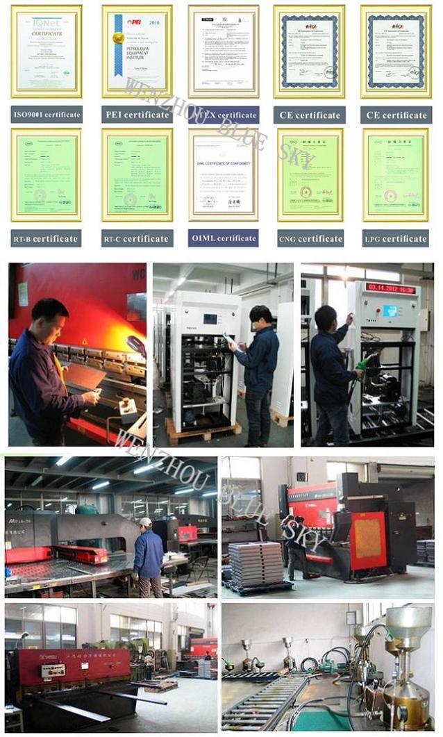 Mass Flowmeter LPG Dispenser (RT-LPG112A) LPG Dispenser