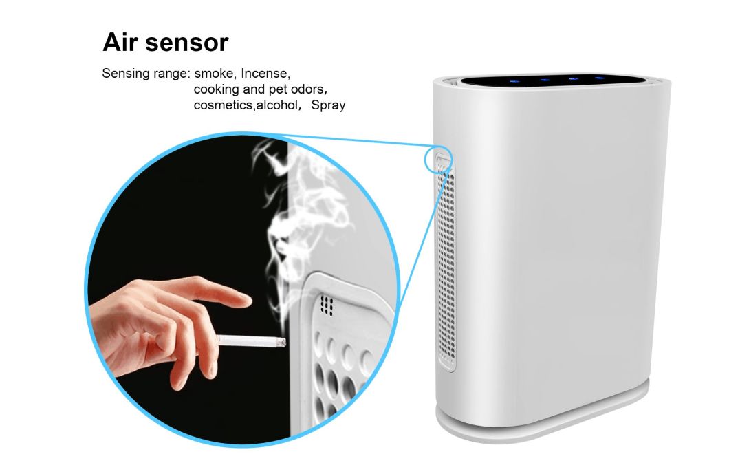 WiFi Ionizer Air Cleaner True HEPA Filter with Indicator