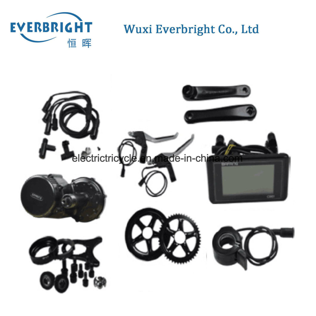 Auto Rickshaw Three Wheeler 48V500W E-Bike Accessories Parts for Sale