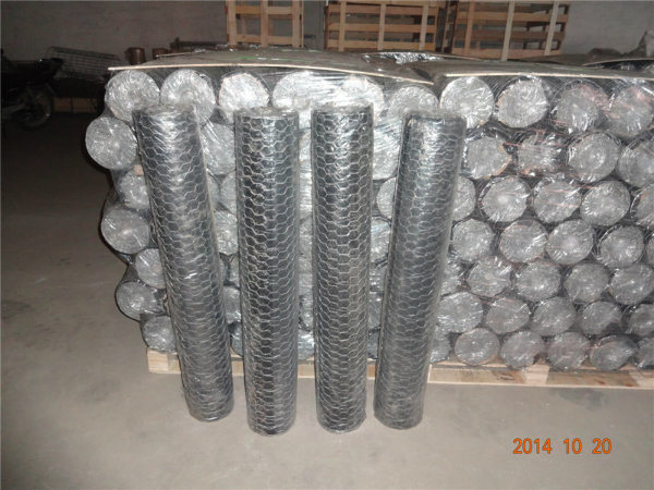 Hot Dipped Galvanized Hexagonal Wire Mesh for Poultry