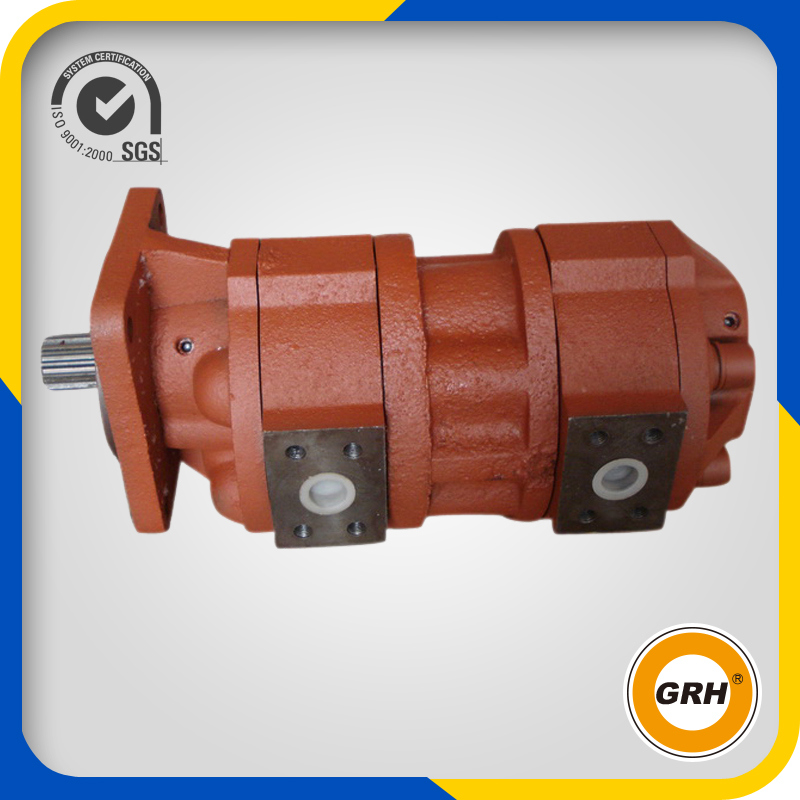 High-Pressure Hydraulic Gear Oil Pump Cbk1020-08alh Double Gear Pump