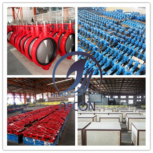 API/ANSI/DIN/JIS Pneumatic Actuator Butterfly Valve