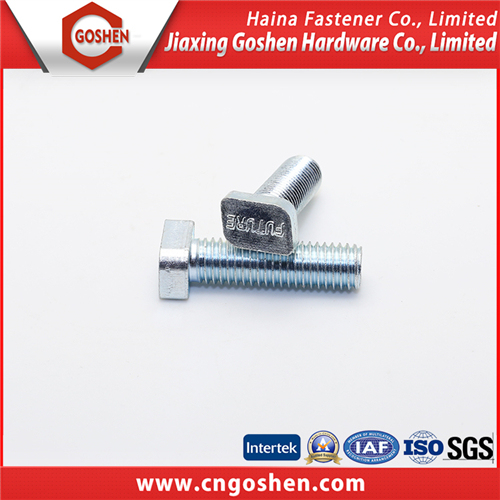 Steel Gr8.8 Hex Bolt / Wing Bolt / T Bolt / Flange Bolt / Carriage Bolts