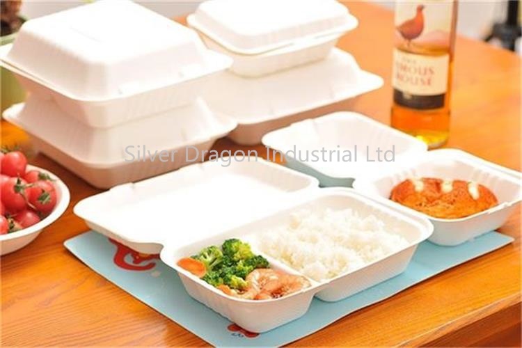 Sugarcane Bagasse Bowls, Disposable and Eco-Friendly