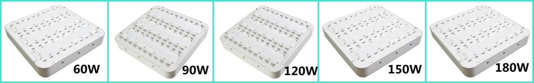 Surface Mount 120W High Power LED Canopy Light Bulb