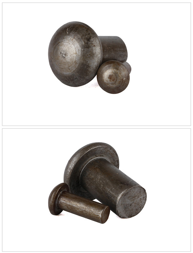 Steel Mushroom Head Solid Tin Rivet