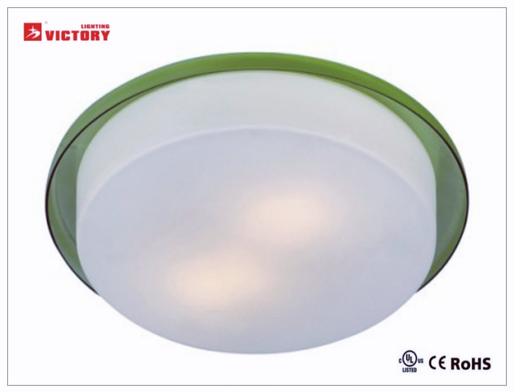 Simple Round Glass LED Lighting Ceiling Lamp