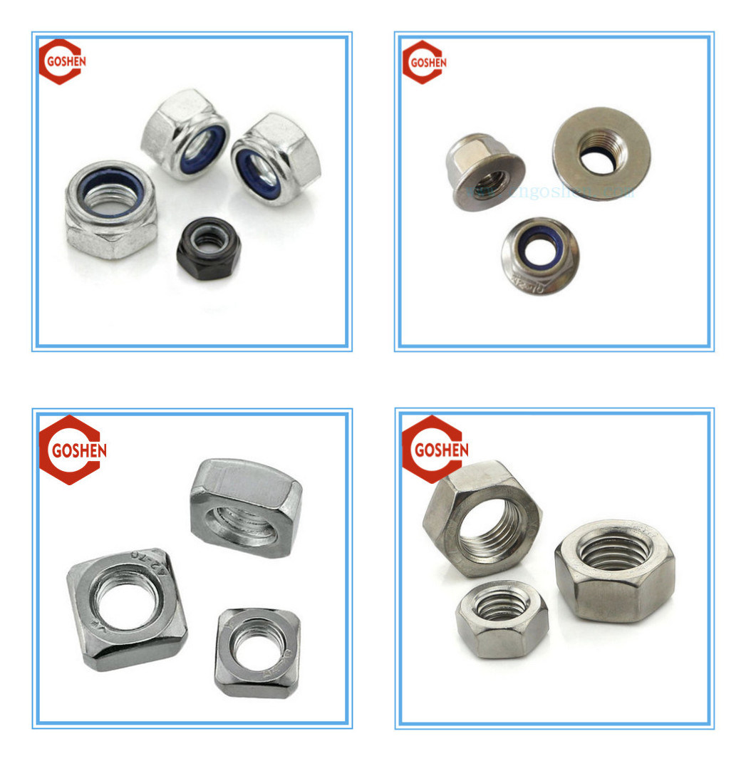 ASTM Stainless Steel SS304 SS316 Hex Nut