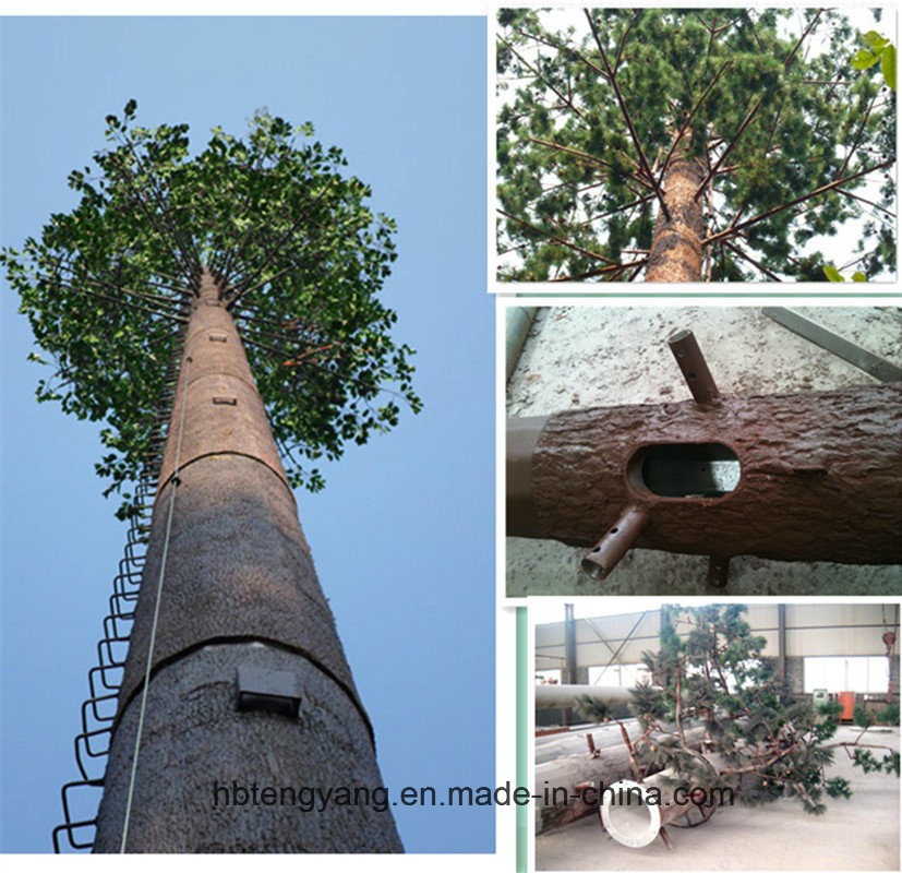 Camouflaged Pine Tree Tubular Tower for Communication