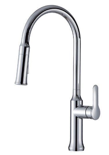 Luxury Home Single Handle Pull Down Kitchen Faucet (821002C)