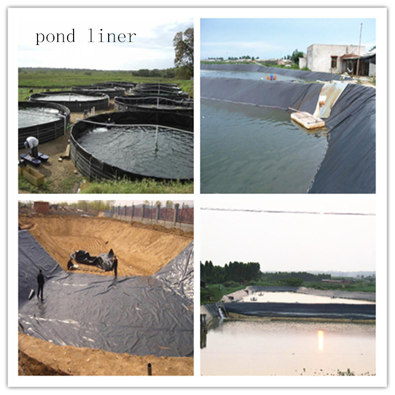 Pond Pool Liners, HDPE Pool Liner