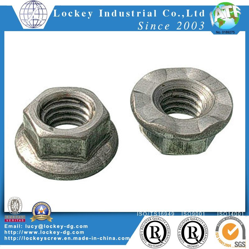 Passivated Stainless Steel Nut, Hex Nut, Flange Hut, Nylon Nut, Cap Nut, Wing Nut