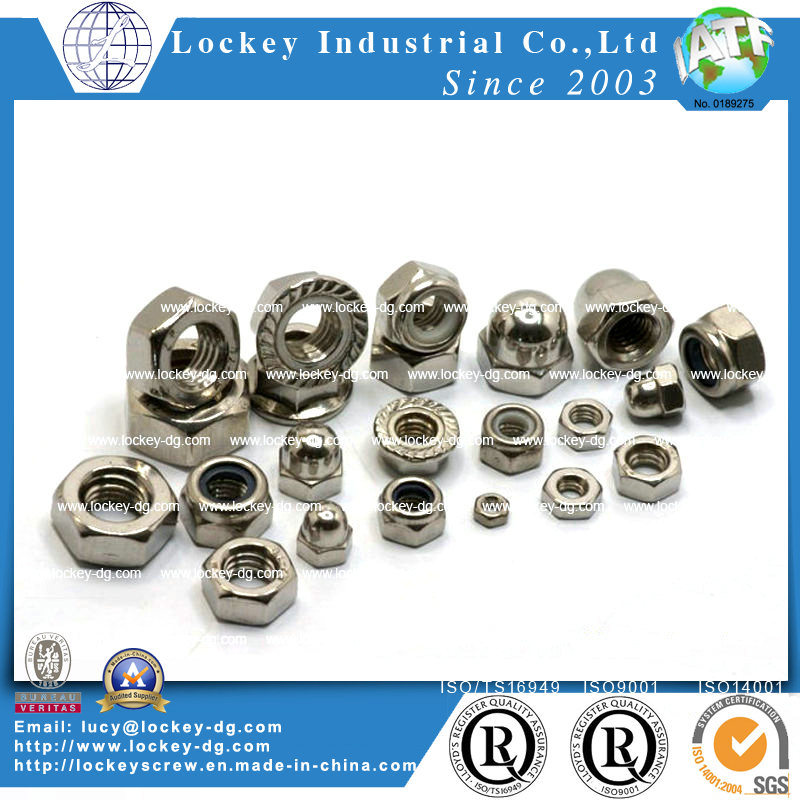 Passivated Stainless Steel Nut, Hex Nut, Flange Hut, Nylon Nut, Cap Nut, Wing Nut