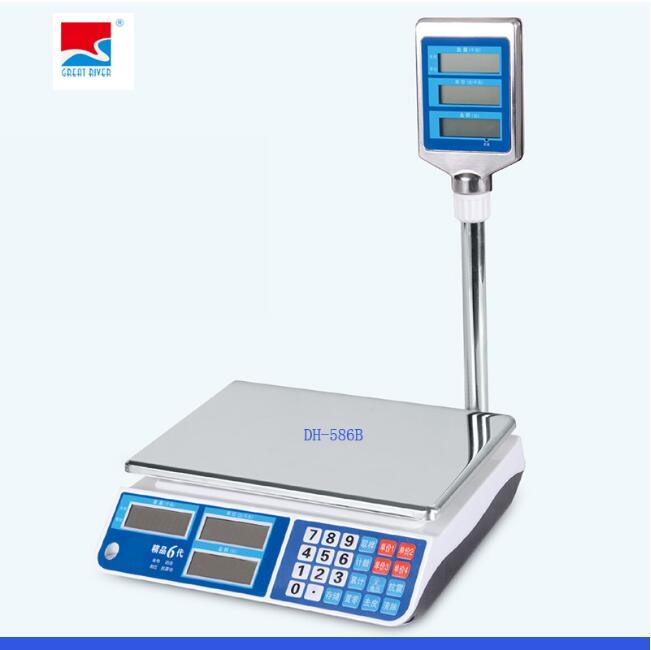 Digital Electronic Bathroom Scales with Pole (DH-586B)