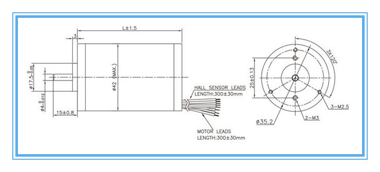 42mm Size 12V 24V Micro BLDC Brushless DC Electric Motor