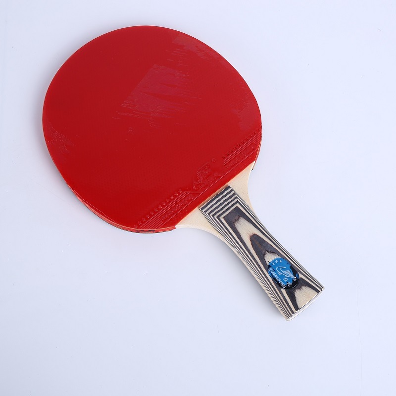 Hot Sale Popular Ittf Table Tennis Racket Pingpong Paddle