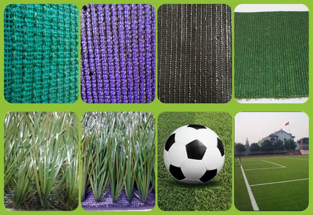 Football Field Artificial Turf with Monofilament Yarn Synthetic Grass