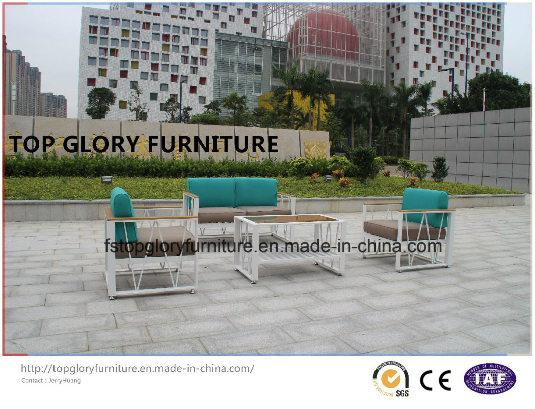 New Design Leisure Outdoor Patio Furniture Sectional Garden Sofa (TG-1336)