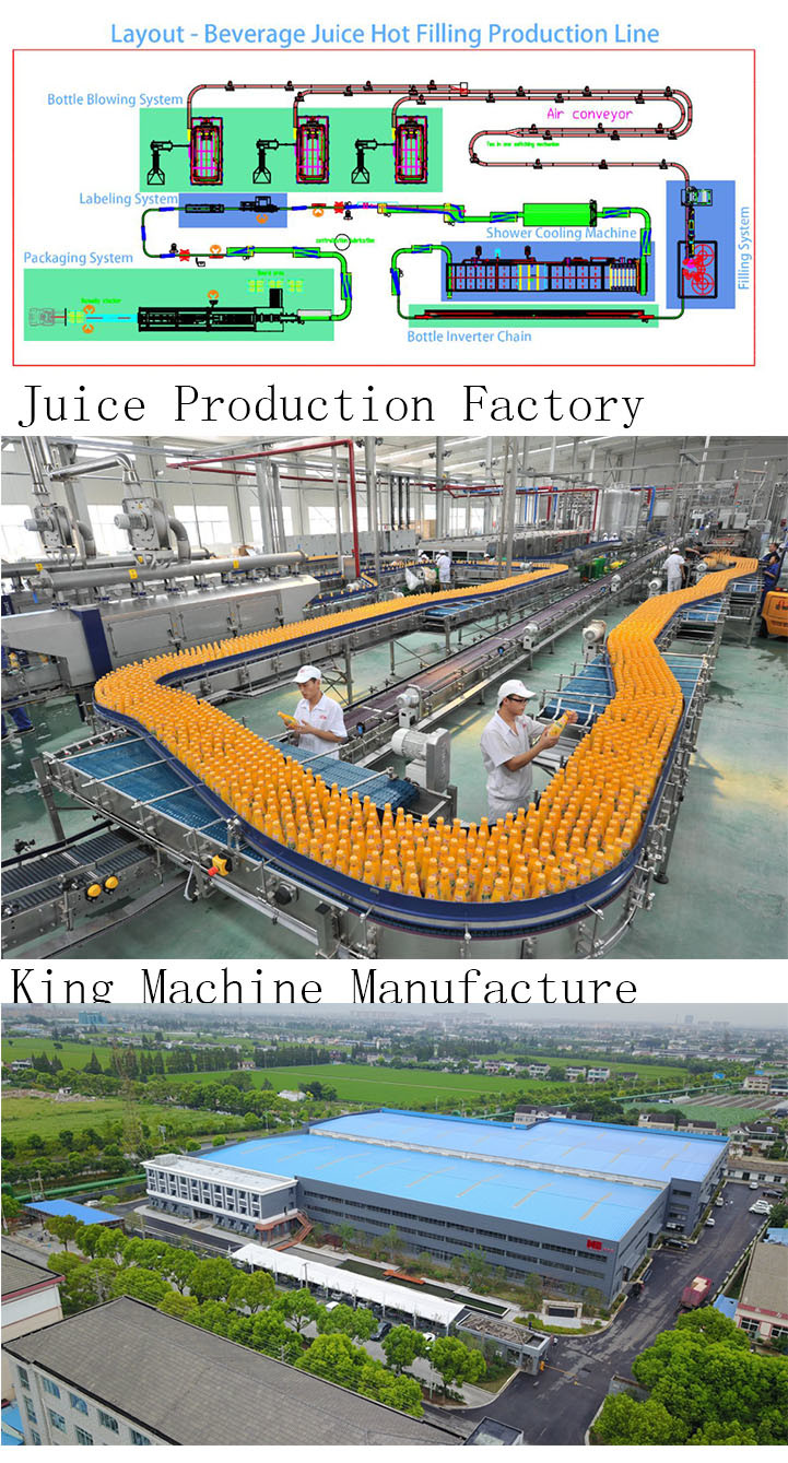 Glass Bottle Juice Filling Machine Equipment for Sale