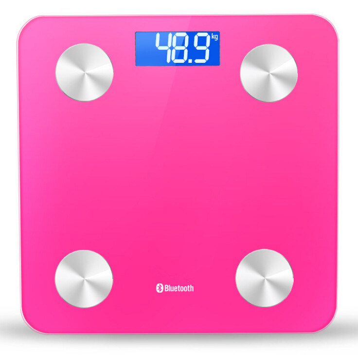 Smart Portable Body Weight Scale Fat Scale