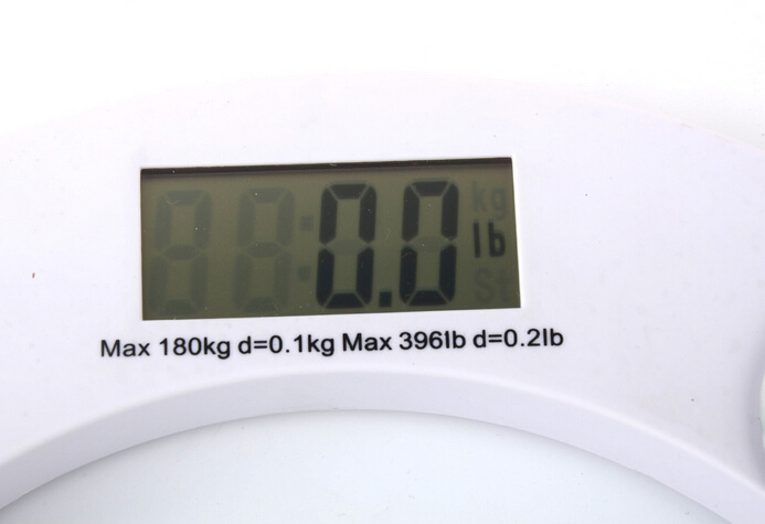 Portable Electronic Body Scale