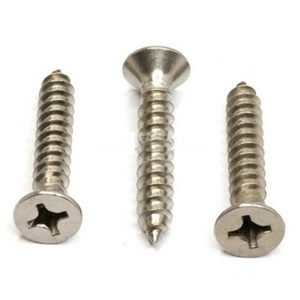 Stainless Steel Slotted Countersunk Head Self Tapping Screw with Good Quality