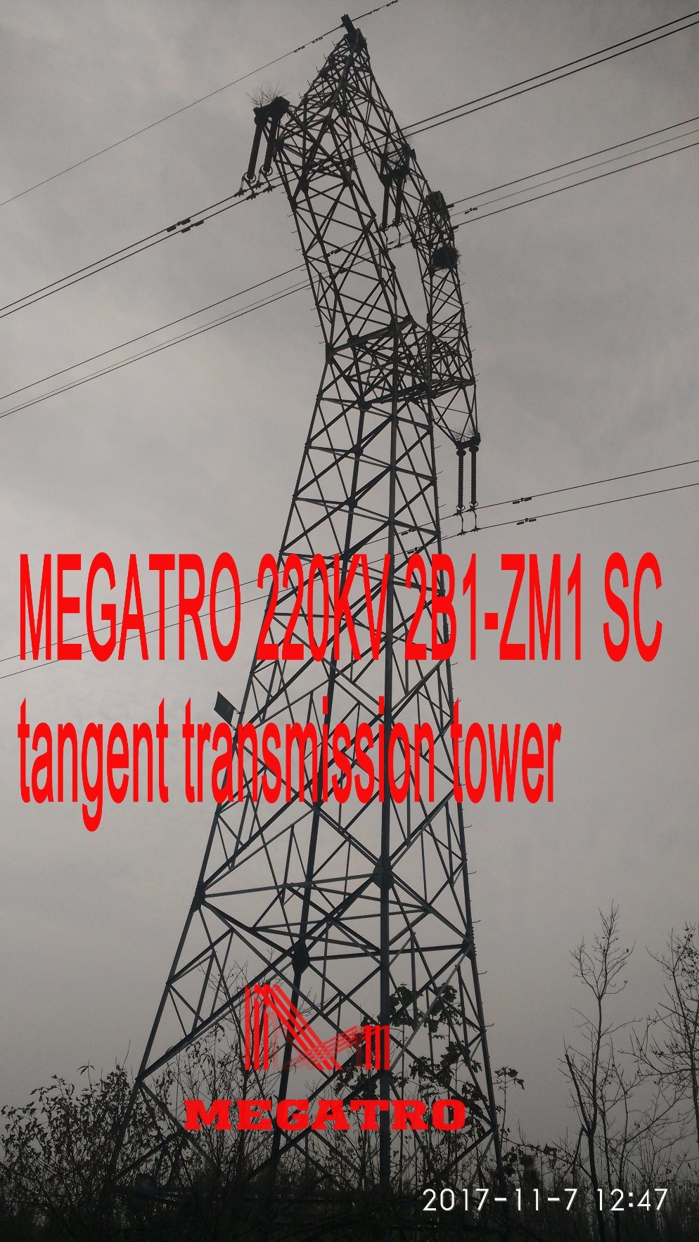 Megatro 220kv 2b1-Zm1 Sc Tangent Transmission Tower