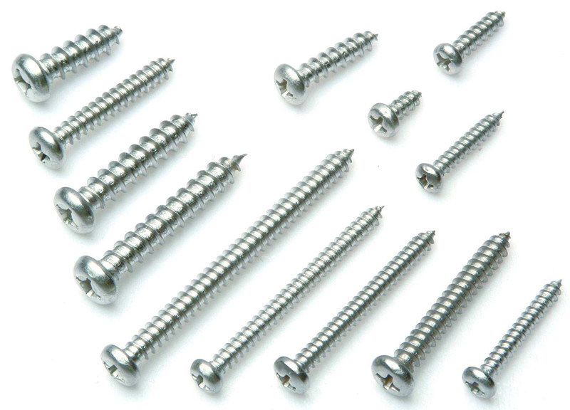 Pan Head Phillips Small Self Tapping Screw Factory Direct