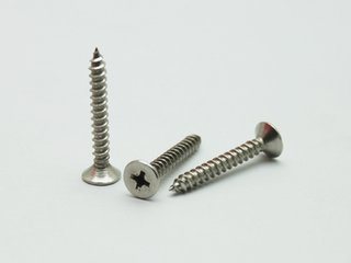 Stainless Steel Self-Tapping Screw, 2016 Hot Sale