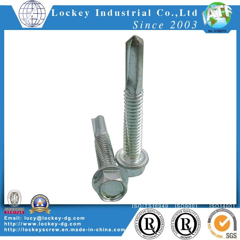 Stainless Steel Screw Ss410 Hex Washer Head Self Drilling Screw