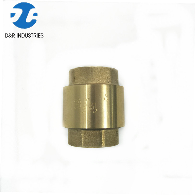 Spring Check Valve Plastic Core, Brass Check Valve (DR6011)