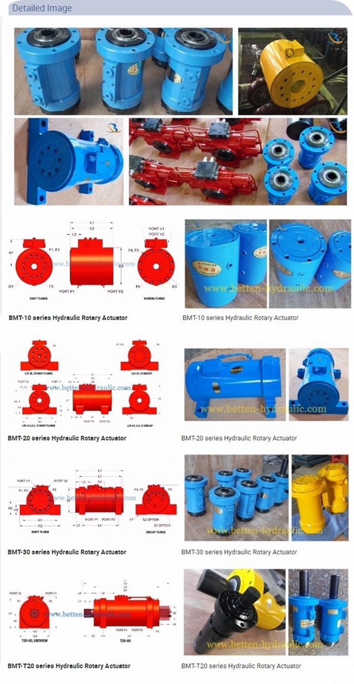 T30-27 Series Hydarulic Rotary Actuator Cylinder for Sale with Good Price