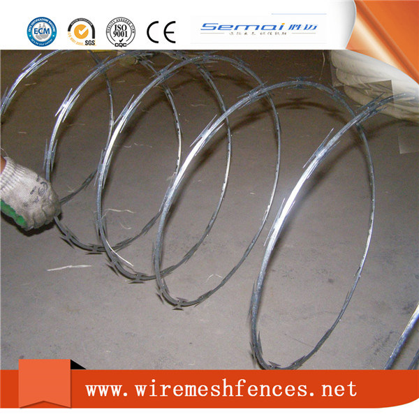 Galvanized Razor Wire Prison Fence