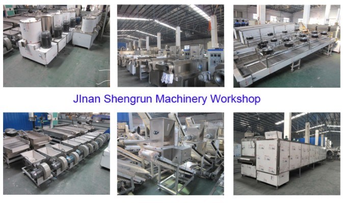 Twin Screw Extruder Nutritional Rice Extrusion Making Machine Production Line