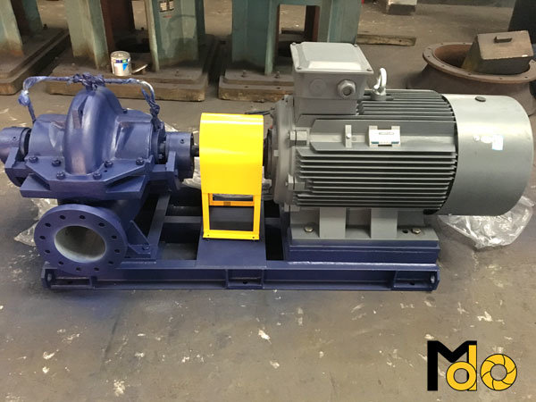 Good Performance Double Suction Water Pump