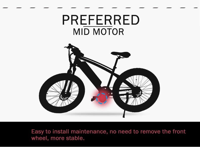 48V/1000W Factory Supply MID Drive Motor Electric Bike Conversion Kit